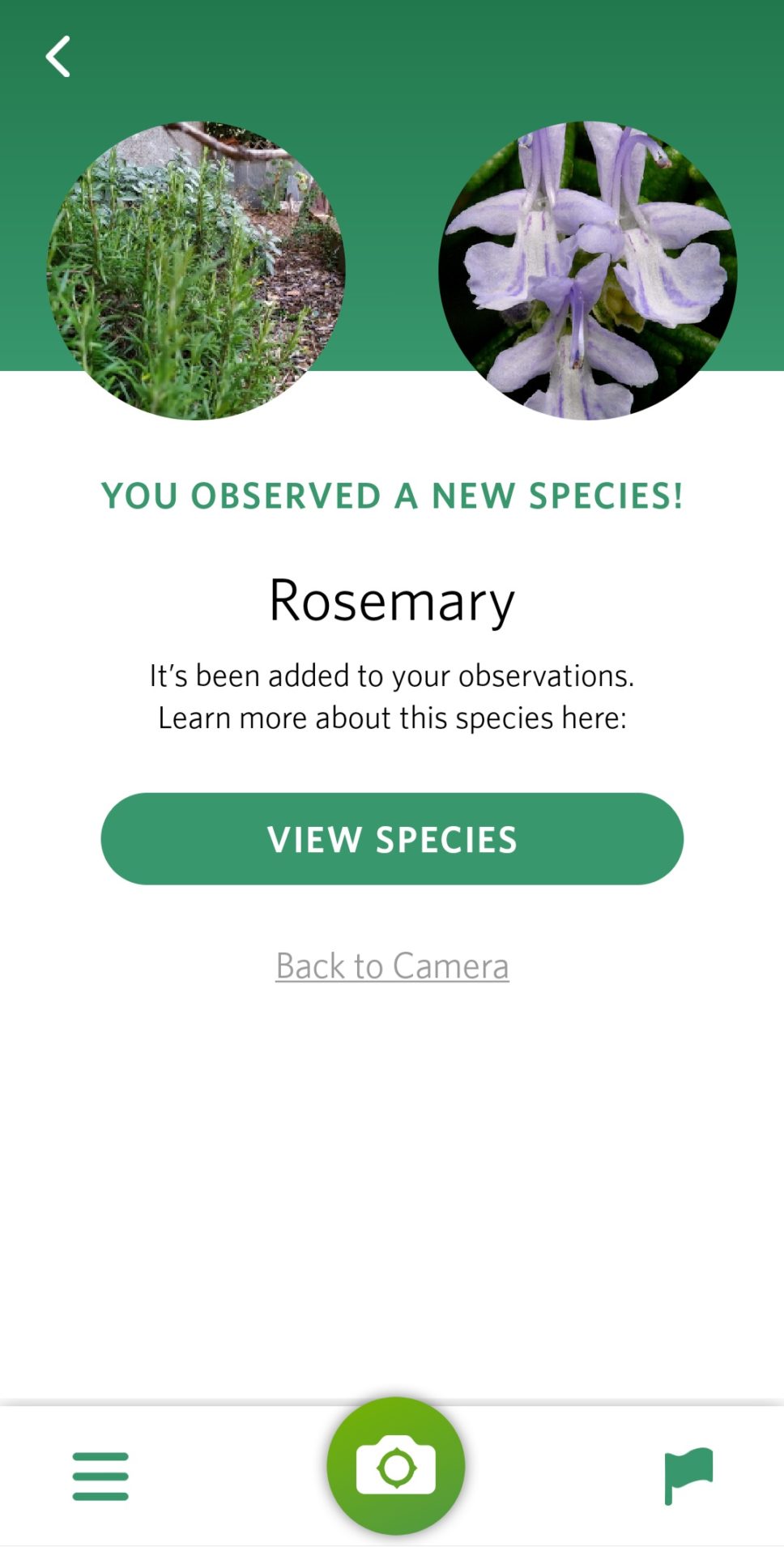 Seek: the application that identifies plants and animals - Accurate Reviews